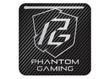 ASRock Phantom Gaming 1"x1" Chrome Effect Domed Case Badge / Sticker Logo