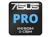 ASUS PRO B650M-C-CSM Motherboard 1"x1" Chrome Effect Domed Case Badge / Sticker Logo