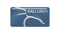 Kali Linux Blue 1.5"x0.75" Chrome Effect Domed Case Badge / Sticker Logo