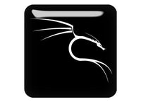 Backtrack Linux Dragon 1"x1" Chrome Effect Domed Case Badge / Sticker Logo