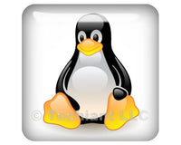 Linux Tux Penguin Crystalized White 1"x1" Chrome Effect Domed Case Badge / Sticker Logo
